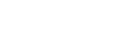 PWC logo white